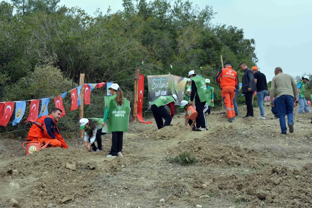 “Kaymakamlar ve Başkan Fidan Dikiminde Buluştu”