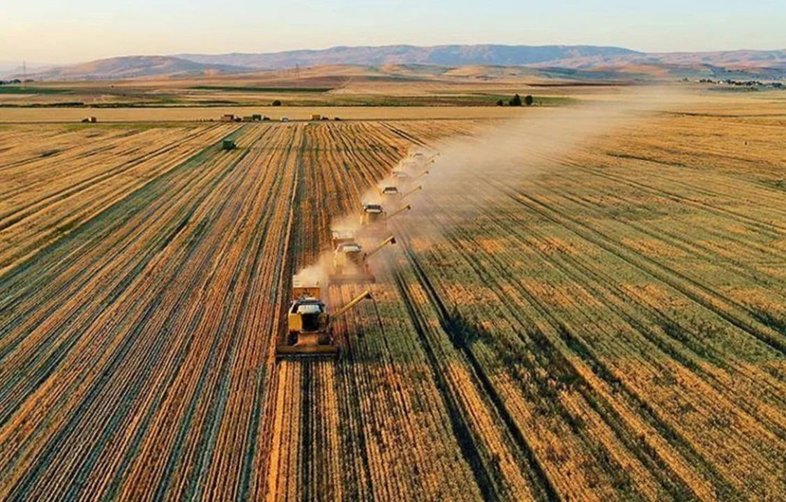 Toprağın Bereketi Teknolojiyle Buluşuyor: Çukurova Tarım Festivali’ne Davetlisiniz