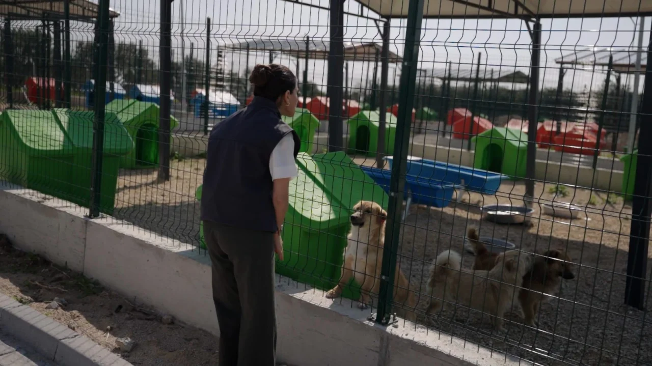 Kurtpınarı’nda Modern Dönüşüm: Ceyhan Belediyesi Hayvan Doğal Yaşam Alanı Hizmette