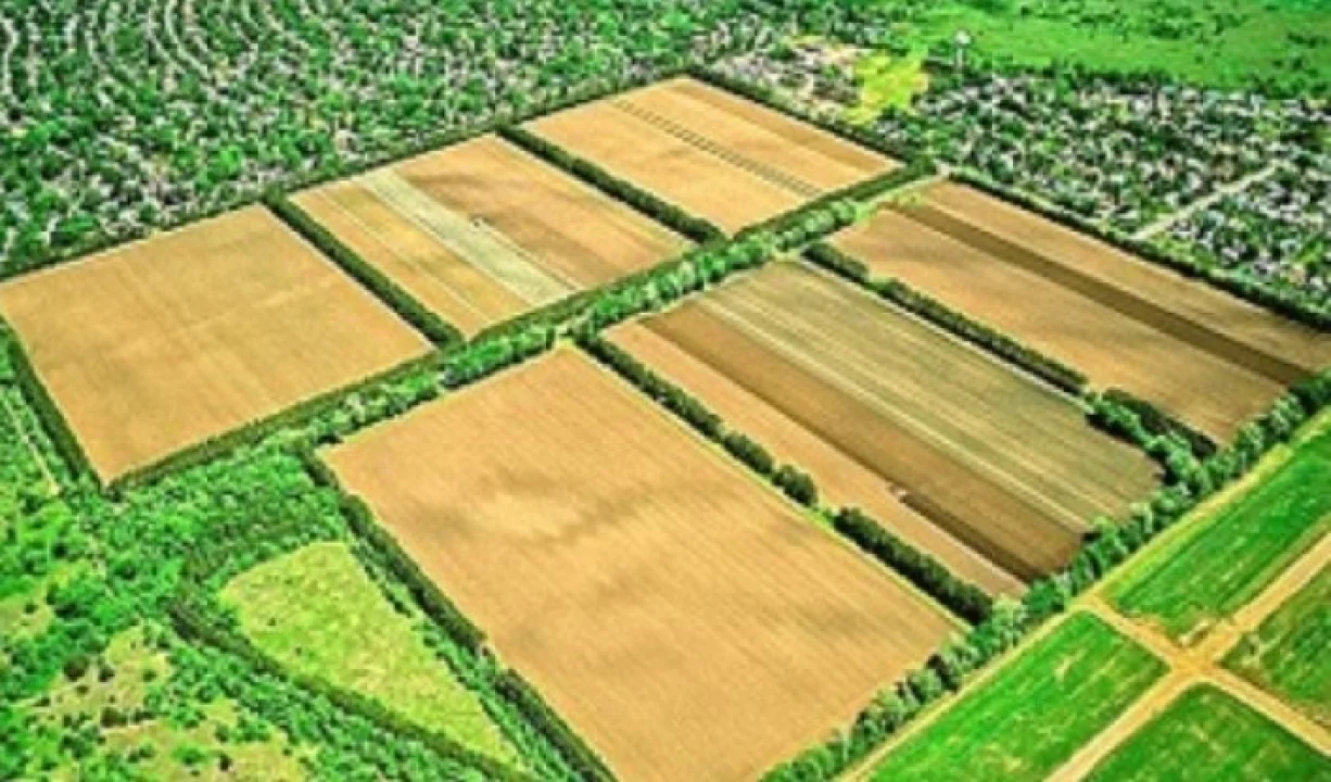 Ceyhanlı Çiftçiler Dikkat: Eski Tapu Dönemi Kapanıyor, Yeni Parseller Geliyor